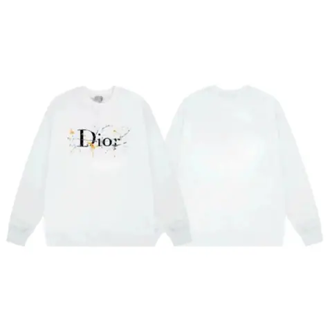 Dior Hoodie