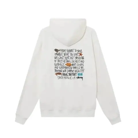 Stussy Hoodie